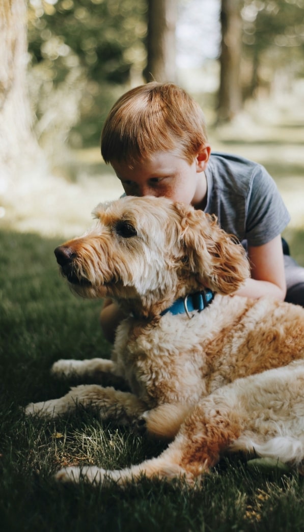 Adopter un chien à l'animalerie des Serres d'angresse entre Capbreton et Tyrosse