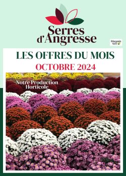 Gazette OCTOBRE 2024