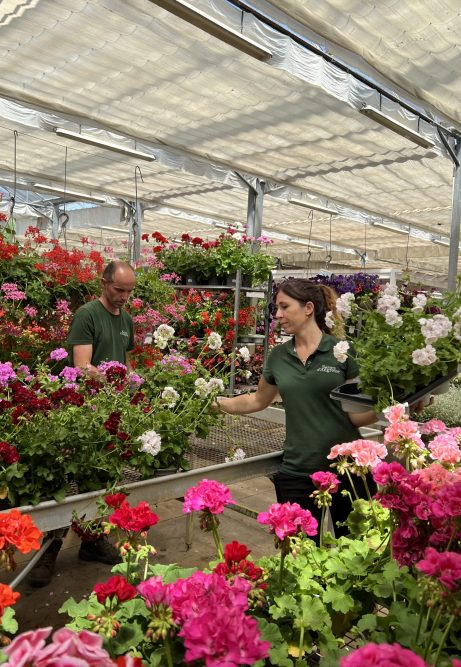 Ingrid et Francois Geranium