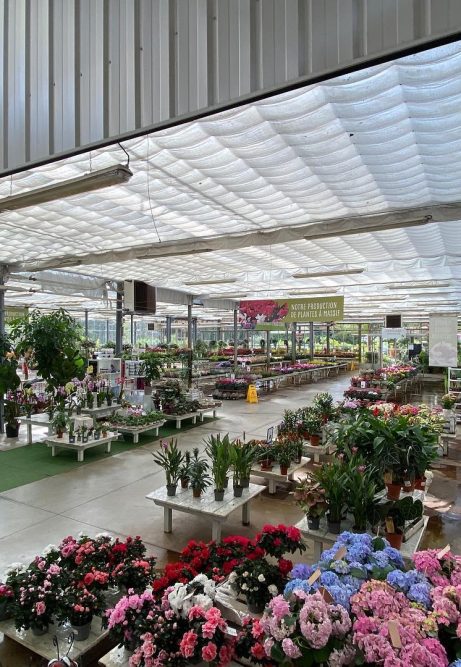 Marché aux fleurs